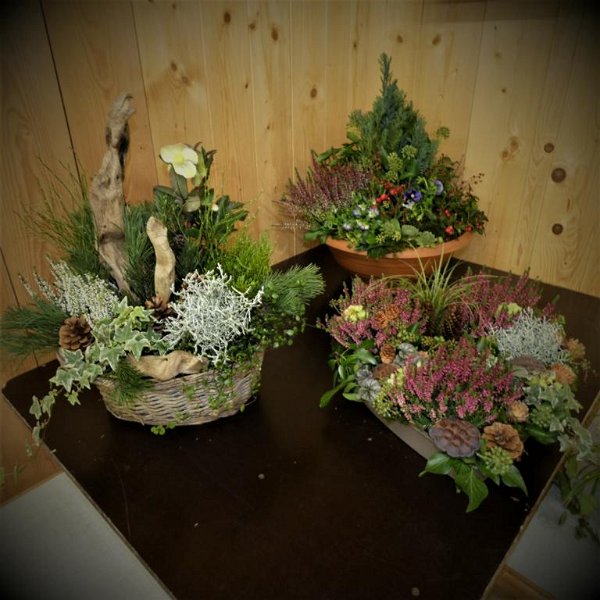 Allerheiligen2019 (13)