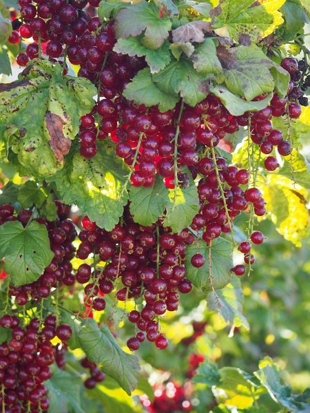 Ausflug Herbst 2019 (11)