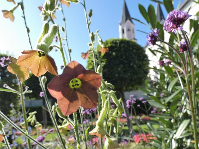 Ausflug Herbst 2019 (28)