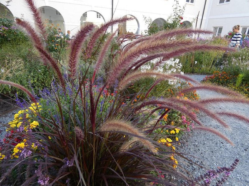 Ausflug Herbst 2019 (36)