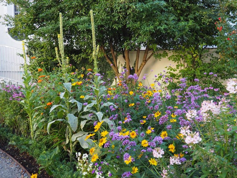 Ausflug Herbst 2019 (42)