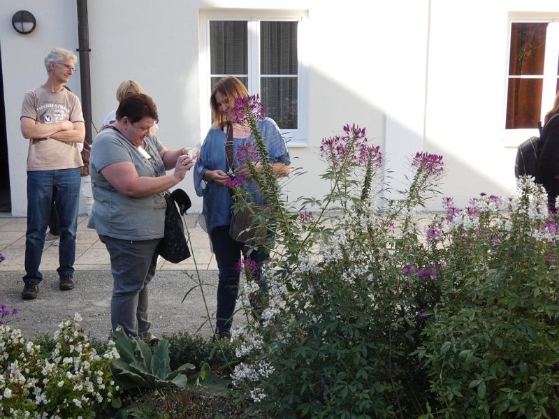 Ausflug Herbst 2019 (46)