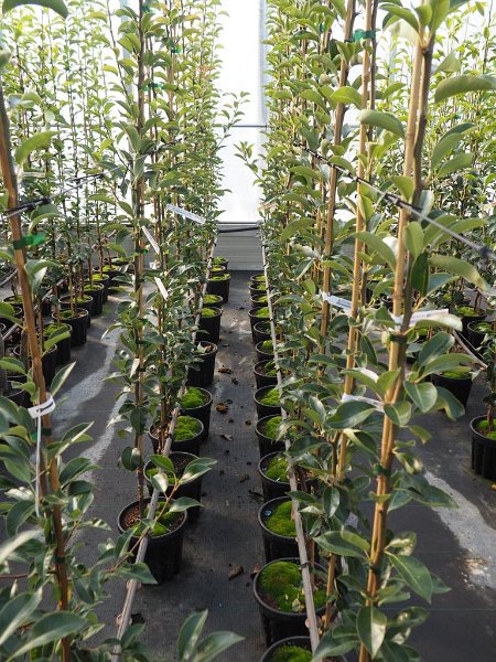 Ausflug Herbst 2019 (9)