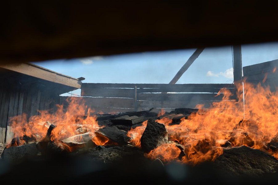 23_WB-Kalkbrenner-2019 (23)