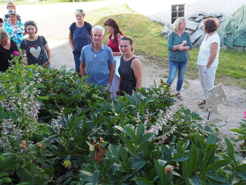 07_VonGartenzuGarten (7)