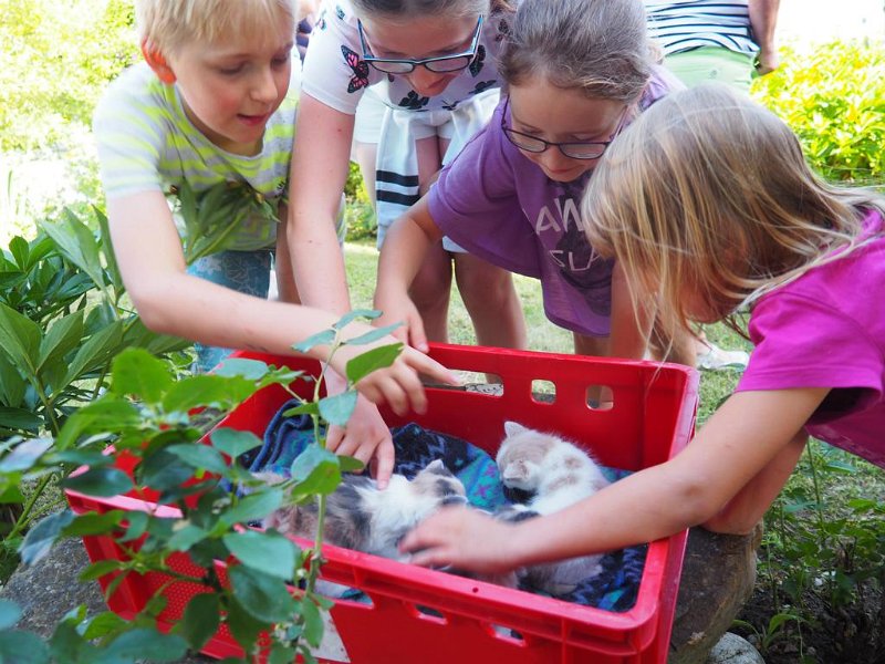 10_VonGartenzuGarten (10)