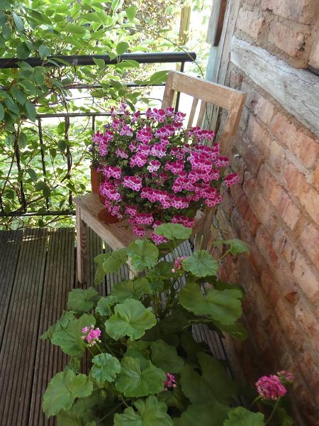 24_VonGartenzuGarten (24)