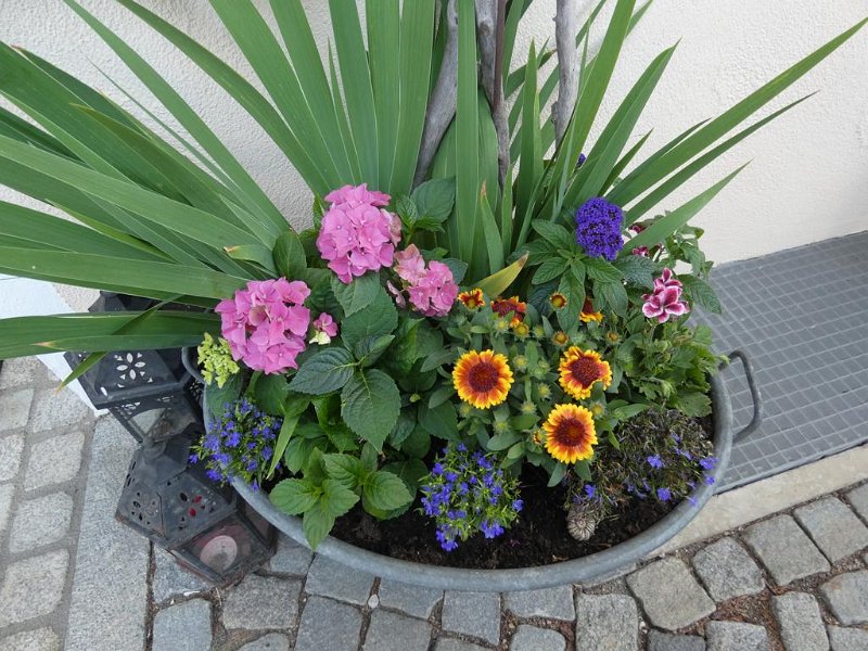 28_VonGartenzuGarten (28)