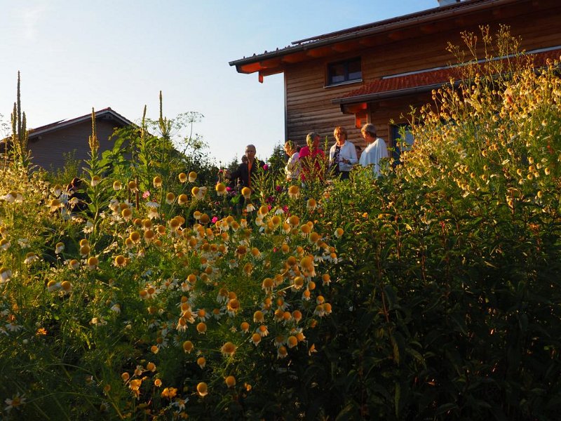 36_VonGartenzuGarten (36)