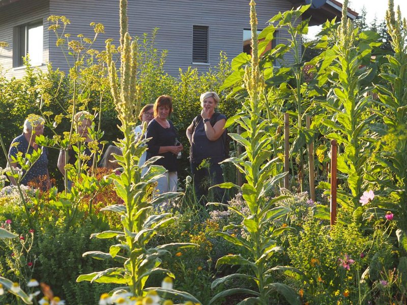 37_VonGartenzuGarten (37)