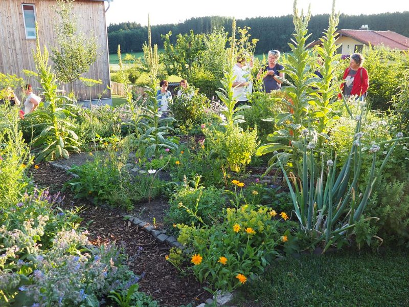 41_VonGartenzuGarten (41)