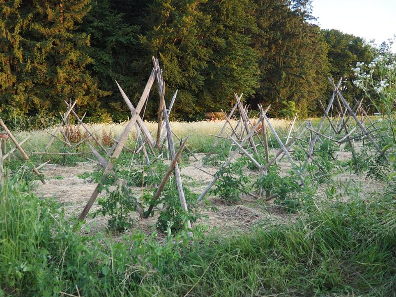 52_VonGartenzuGarten (52)