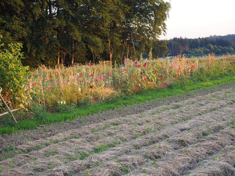 54_VonGartenzuGarten (54)