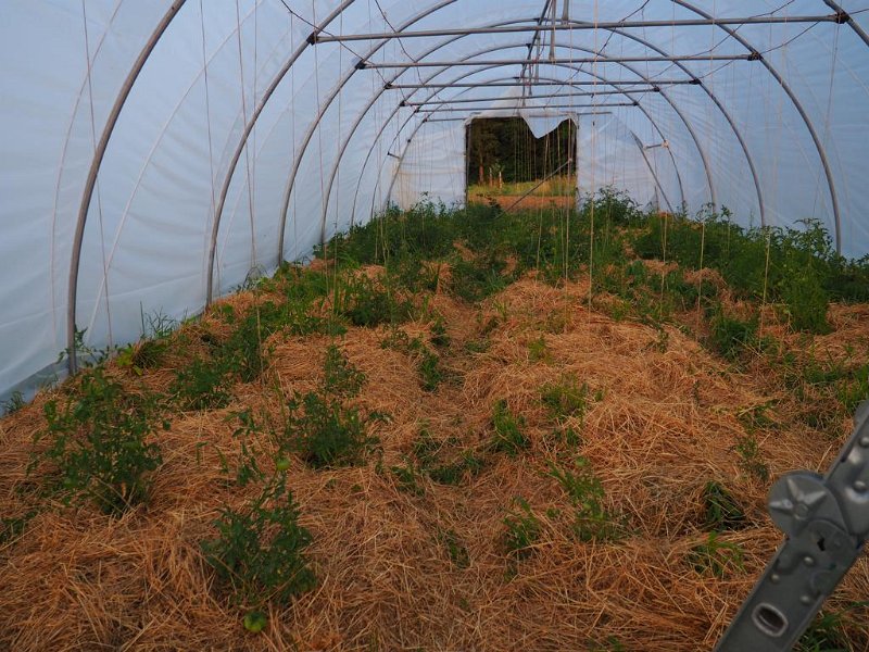 56_VonGartenzuGarten (56)