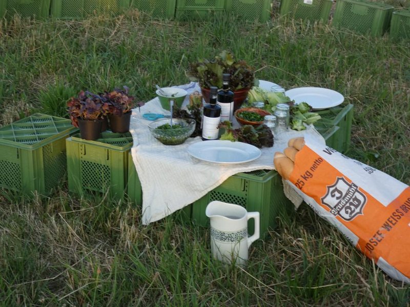 59_VonGartenzuGarten (59)