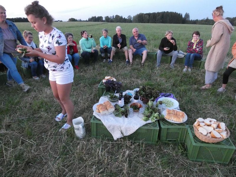 64_VonGartenzuGarten (64)