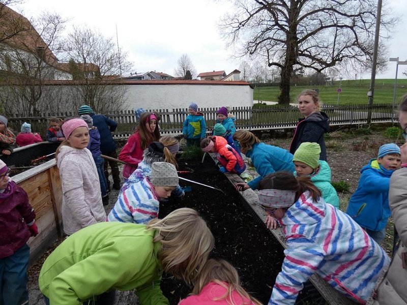 WB-4-2019-Osterhasen  (16)