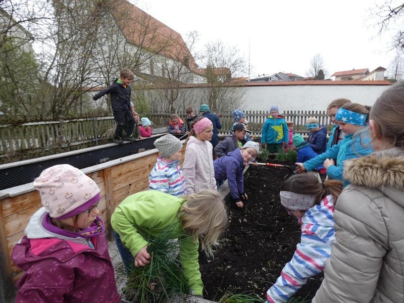 WB-4-2019-Osterhasen  (17)