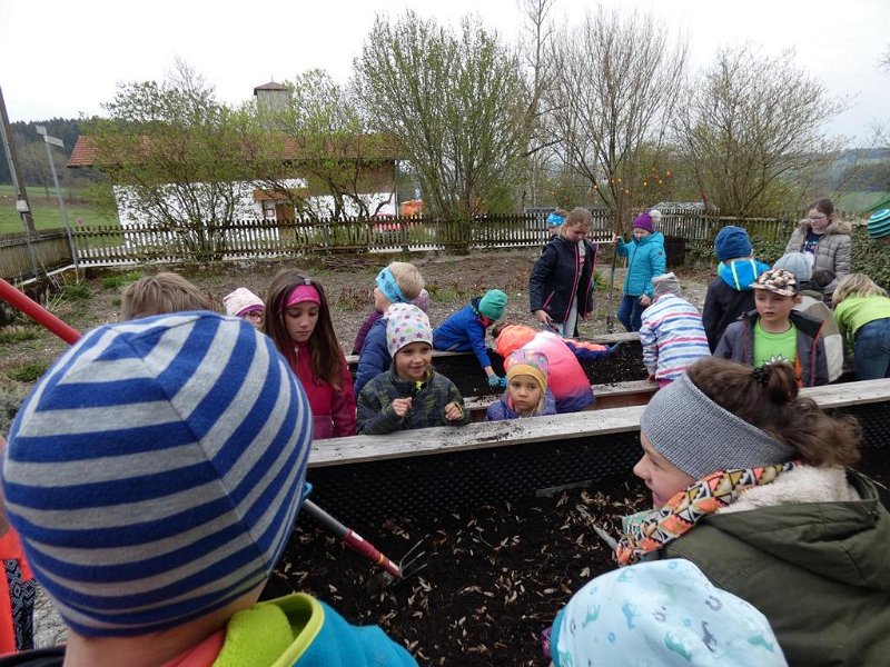 WB-4-2019-Osterhasen  (19)