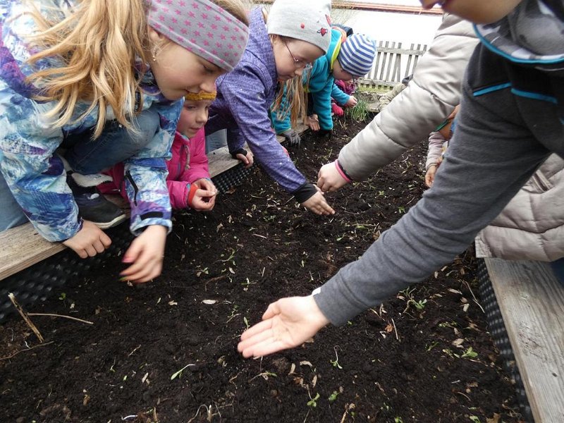 WB-4-2019-Osterhasen  (22)