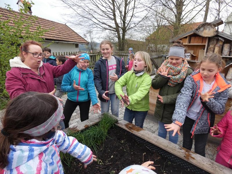 WB-4-2019-Osterhasen  (23)