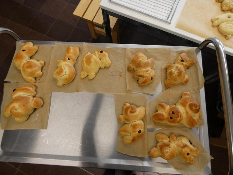 WB-4-2019-Osterhasen  (9)