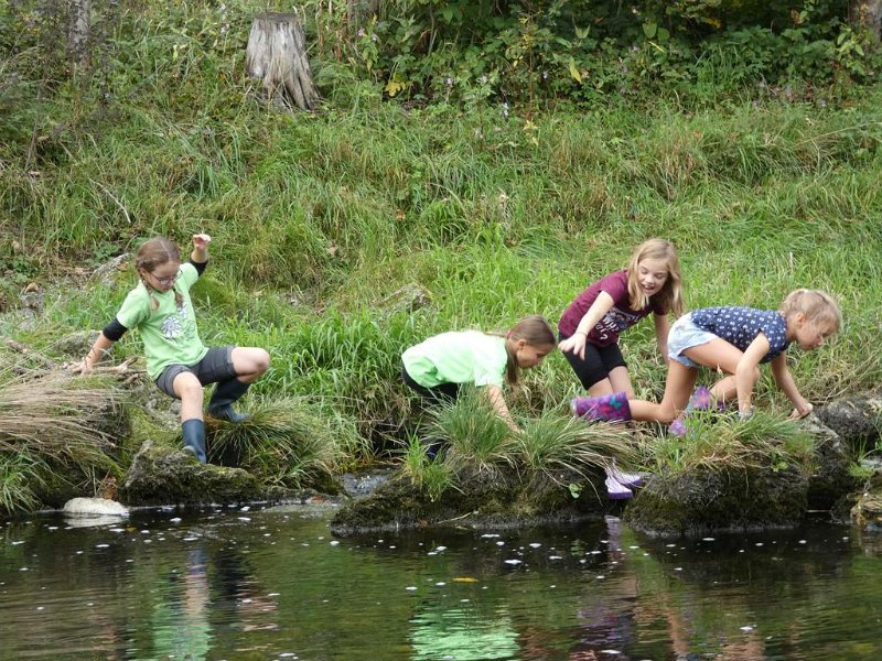 WB-9-2019-Traun (12)