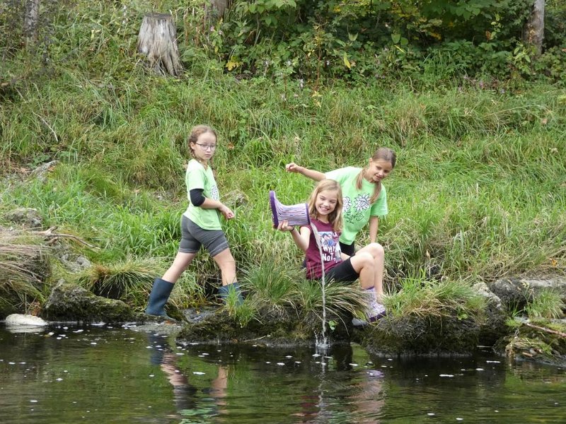 WB-9-2019-Traun (13)