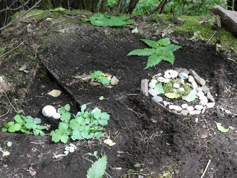 22_10. Waldolympiade (22)