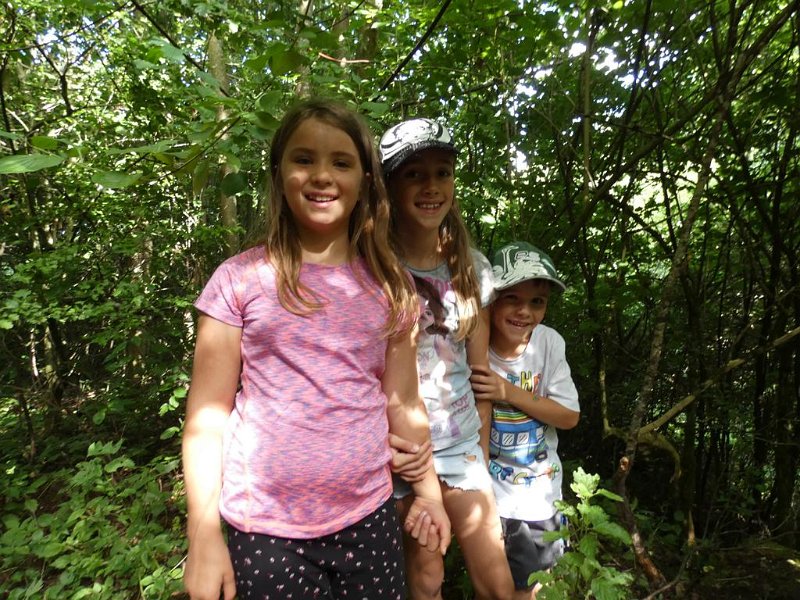 23_10. Waldolympiade (23)