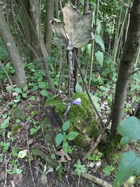 24_10. Waldolympiade (24)