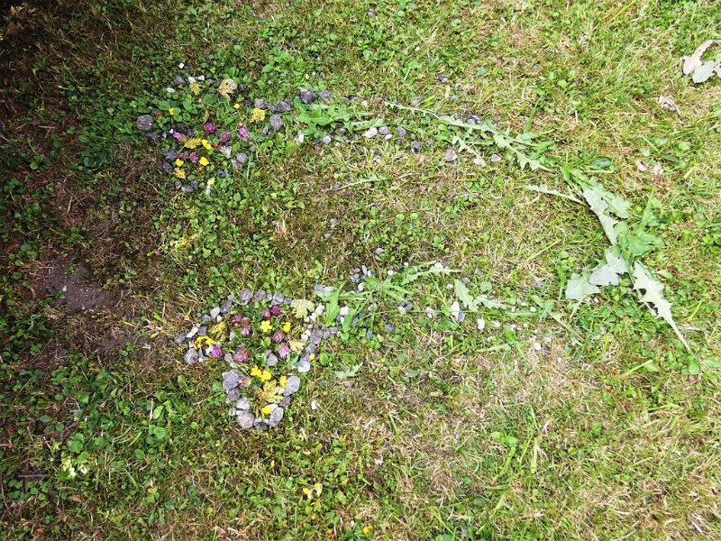 25_10. Waldolympiade (25)