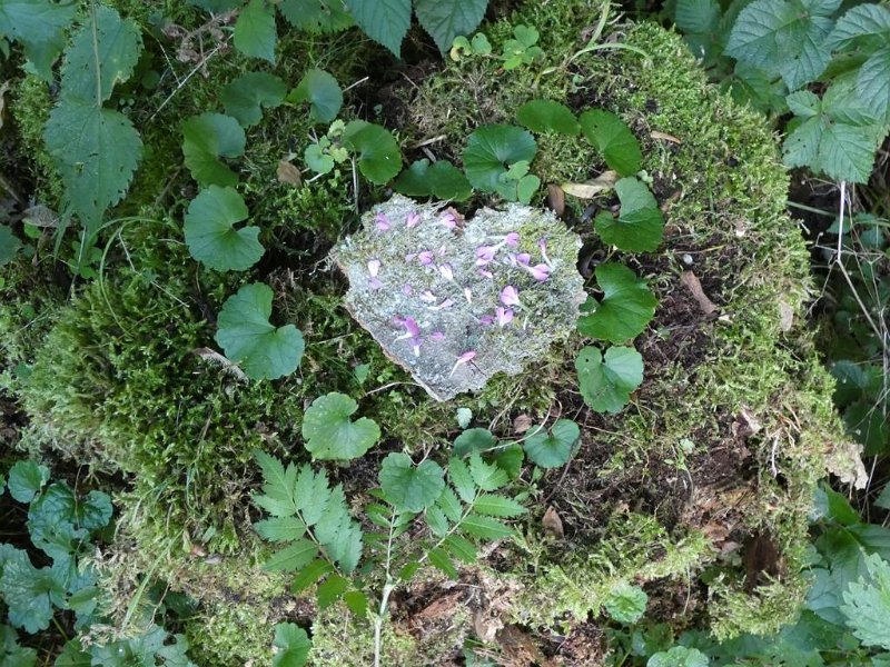 26_10. Waldolympiade (26)