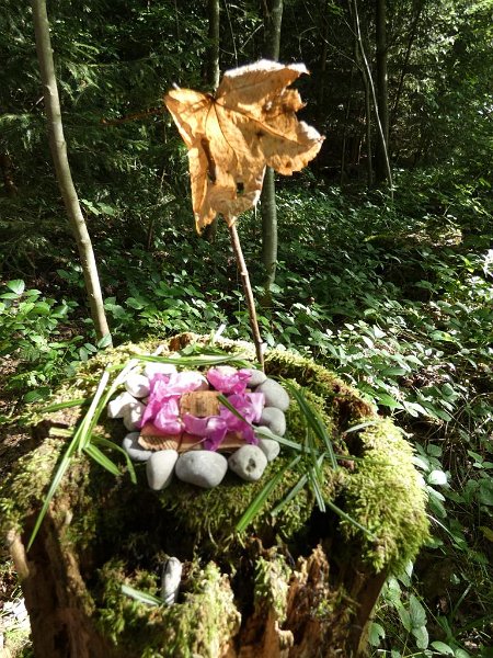 29_10. Waldolympiade (29)