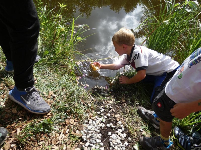 32_10. Waldolympiade (32)