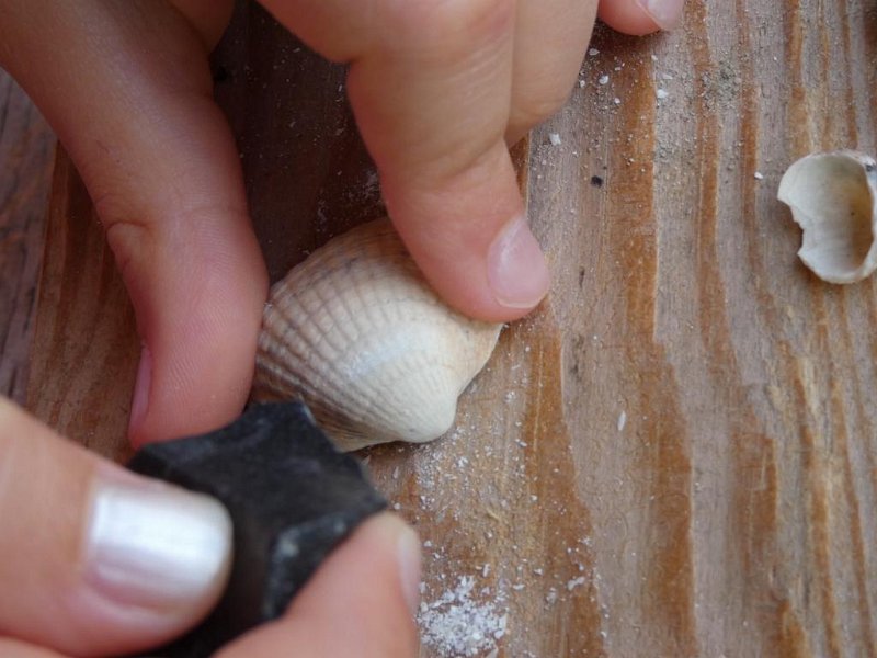 14_WB-Übernachtung-2019 (14)