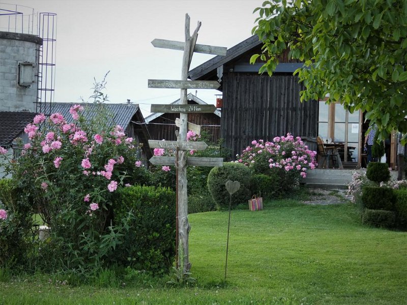 Abendausflug 2020  (15)