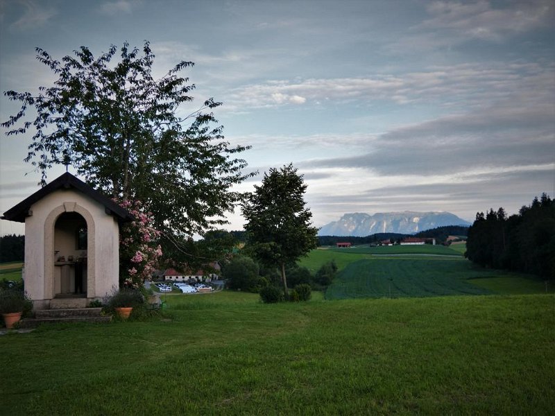 Abendausflug 2020  (18)