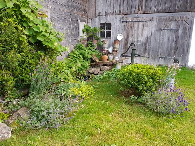 Abendausflug 2020  (24)