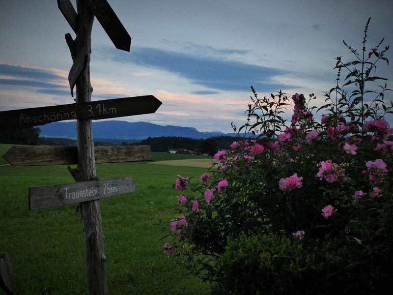 Abendausflug 2020  (25)