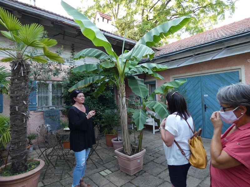 Abendausflug 2020  (3)