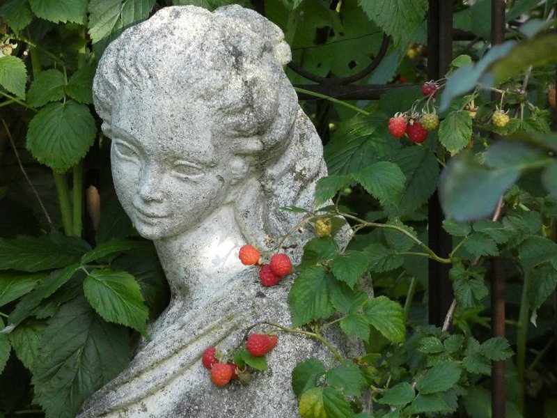 Abendausflug 2020  (7)