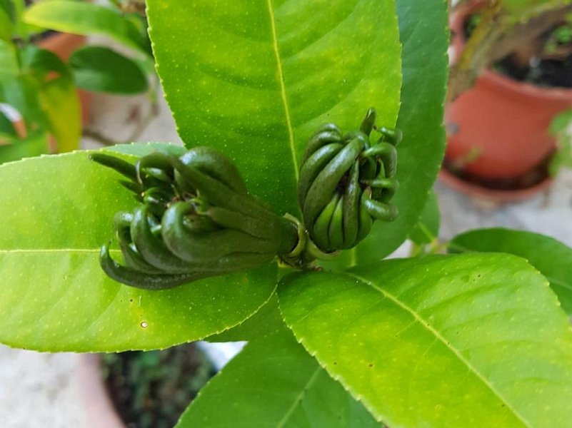 Abendausflug 2020  (9)