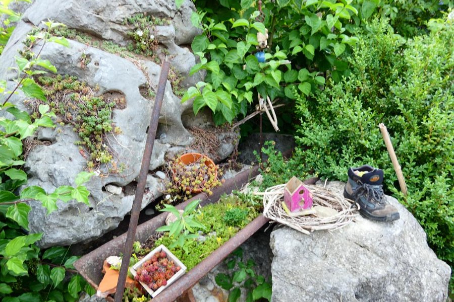 Garten von Fam. Baderhuber (1)