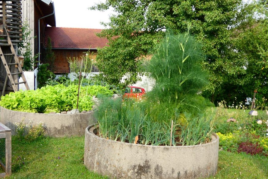 Garten von Fam. Baderhuber (2)