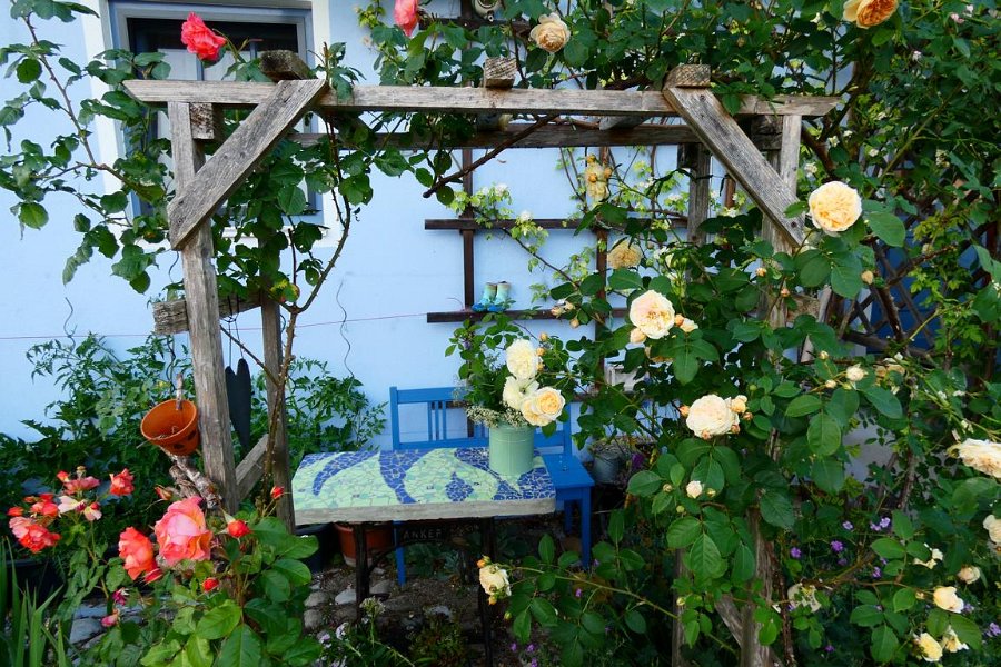 Garten von Fam. Maierhofer (1)