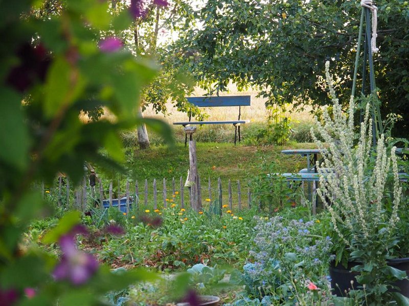 Garten von Fam. Maierhofer (3)