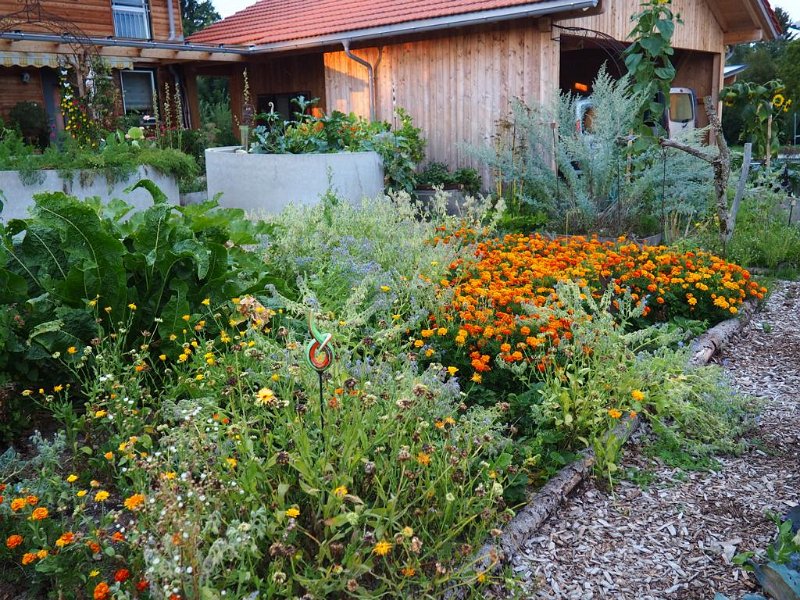 Garten von Fam. Sailer (1)