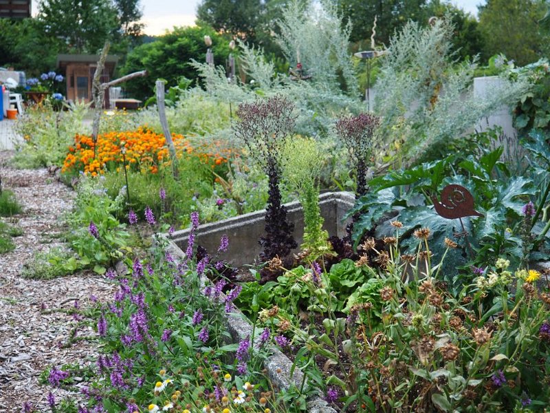 Garten von Fam. Sailer (2)