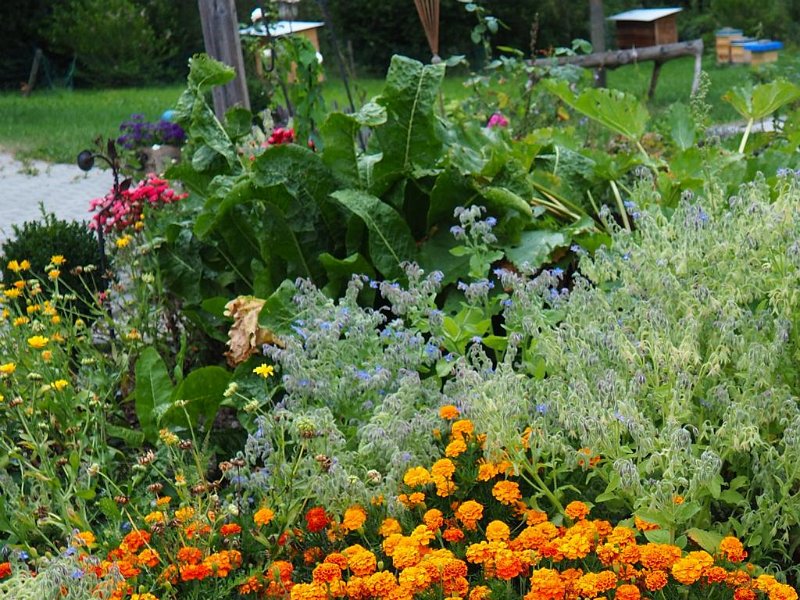 Garten von Fam. Sailer (3)